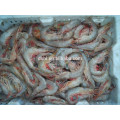 HL002 seafood frozen easy peel shrimp from china